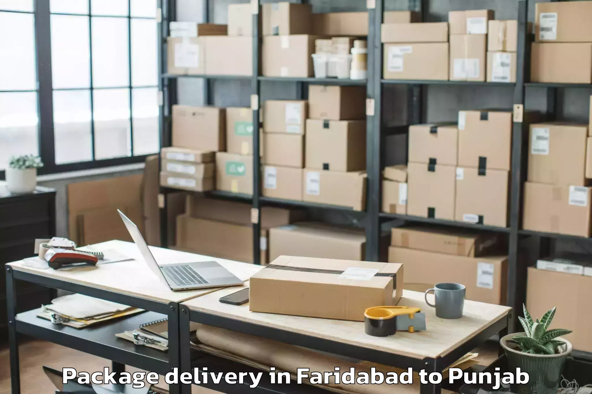 Professional Faridabad to Khamanon Package Delivery